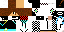 Texture for Fixel755