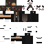 Texture for steve