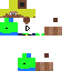 Texture for diego