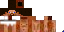 Texture for Steve