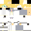 Texture for シャノアスキン