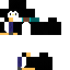 Texture for penguen