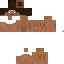 Texture for steve bombado