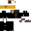 Texture for willager