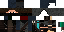 Texture for Ninja Back