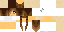 Texture for Link