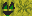 Texture for melone