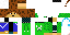 Texture for sam