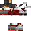 Texture for Steve