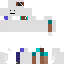 Texture for insan