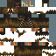 Texture for PRO