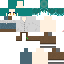 Texture for Clover's Skin