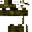 Texture for 555