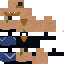 Texture for MineSkin