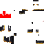 Texture for geko