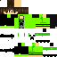 Texture for skikn