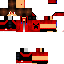 Texture for stteve