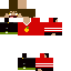 Texture for fs