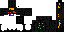 Texture for enederman
