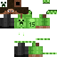 Texture for creeper cape steve