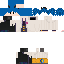 Texture for Newt