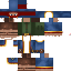 Texture for Wandering Trader