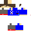 Texture for SrJOAO