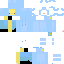Texture for Duck