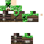 Texture for DacoDexTV