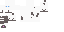Texture for grey Siamese  