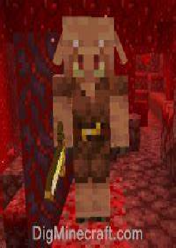 Texture for piglin save