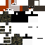 Texture for sasas