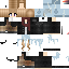 Texture for SkySoar11