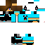 Texture for AMIR