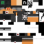 Texture for R3IIS