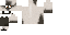 Texture for Siamese cat 