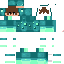Texture for nicolasRD300