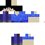 Texture for steve inari