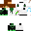 Texture for steve