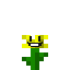 Texture for flowey