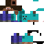 Texture for Steve