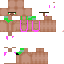 Texture for Darwin
