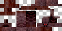 Texture for scorpík