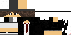 Texture for TrollCantor