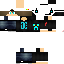 Texture for LordNerdGames