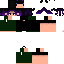 Texture for alanpvps