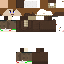 Texture for FelixR