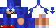 Texture for Sonic
