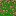 Texture for Grass