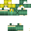 Texture for introskin